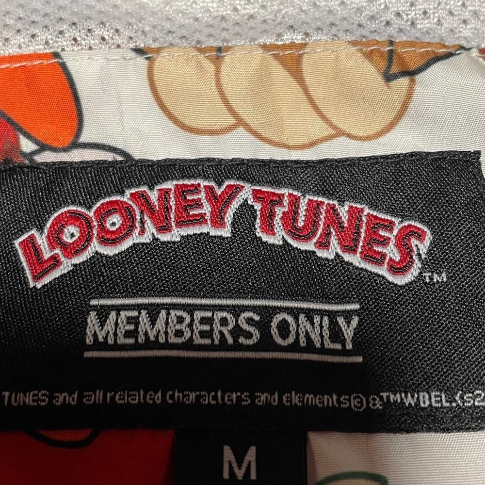 Looney Tunes space jam windbreaker Size Medium - Picture 4 of 9